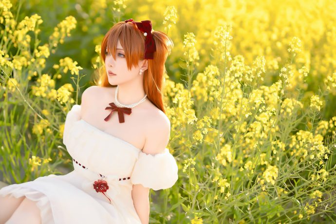 COS 星之迟迟出镜明日香，在金色花海中还原经典二号机少女