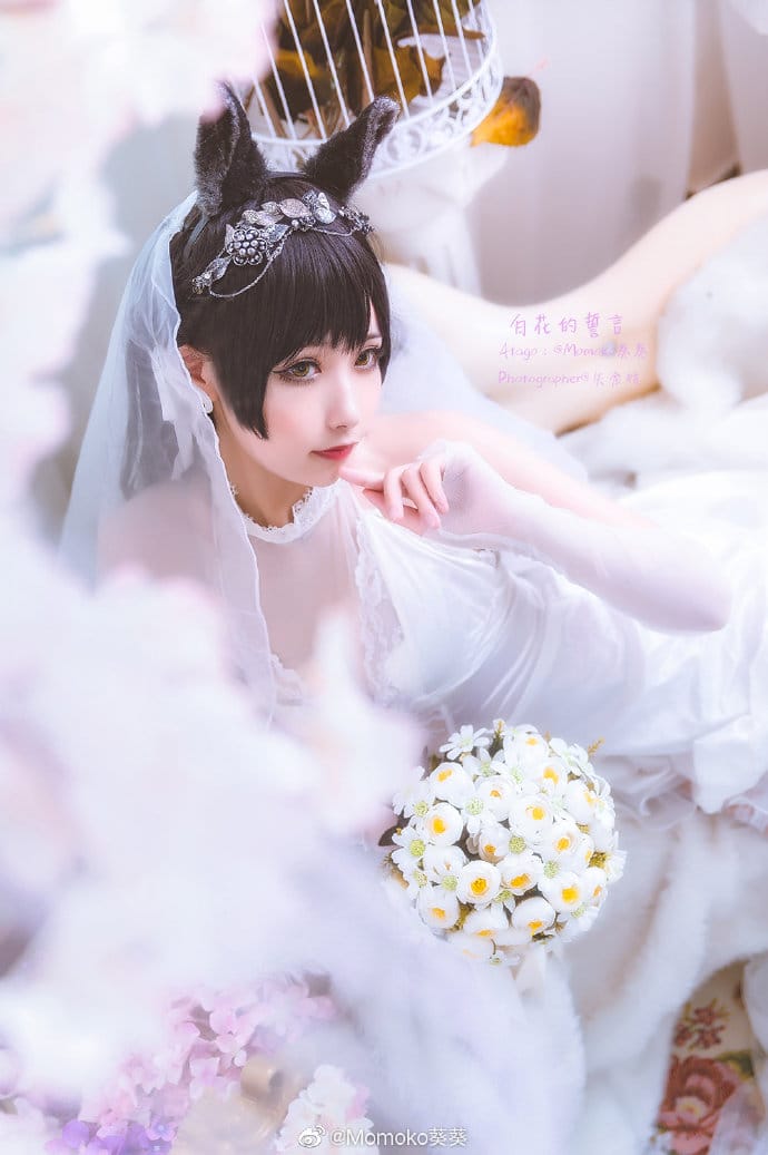 Momoko葵葵COS碧蓝航线爱宕婚纱换装白花的誓言,黑发兽耳配白色婚纱