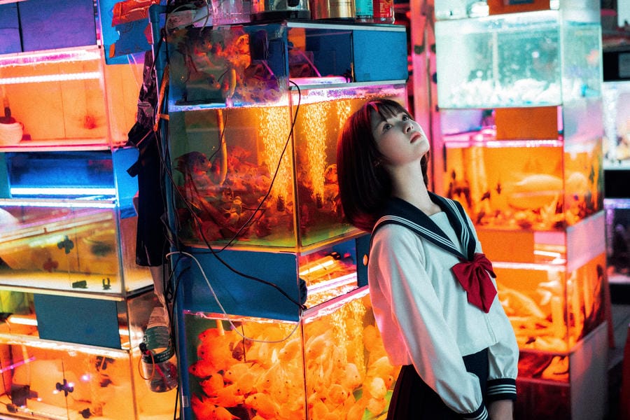 河豚抚子金鱼JK写真：水族馆蓝光下的短发少女与清透夏日氛围