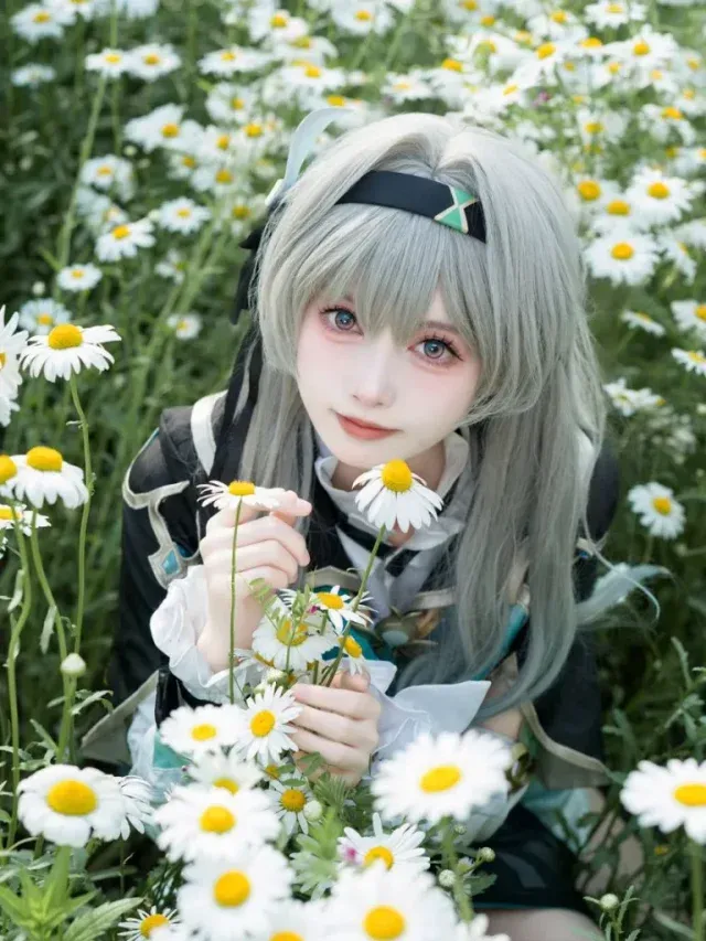 池田七帆 cos 流萤,白菊花田里拍出星穹铁道的清冷漂泊感