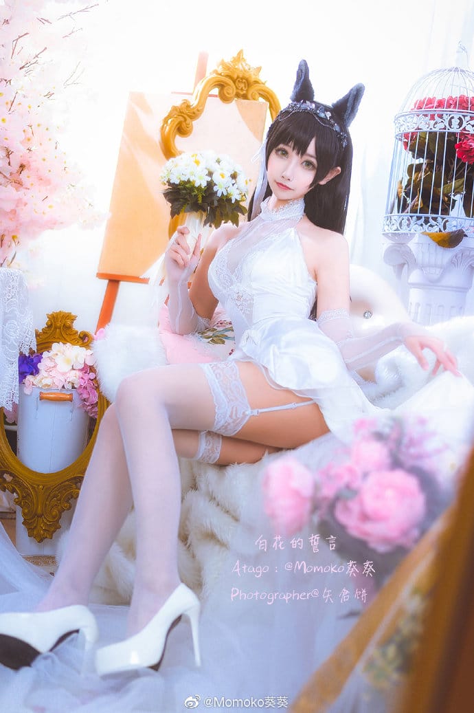 Momoko葵葵COS碧蓝航线爱宕婚纱换装白花的誓言,黑发兽耳配白色婚纱