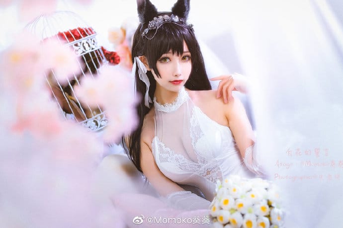 Momoko葵葵COS碧蓝航线爱宕婚纱换装白花的誓言，黑发兽耳配白色婚纱