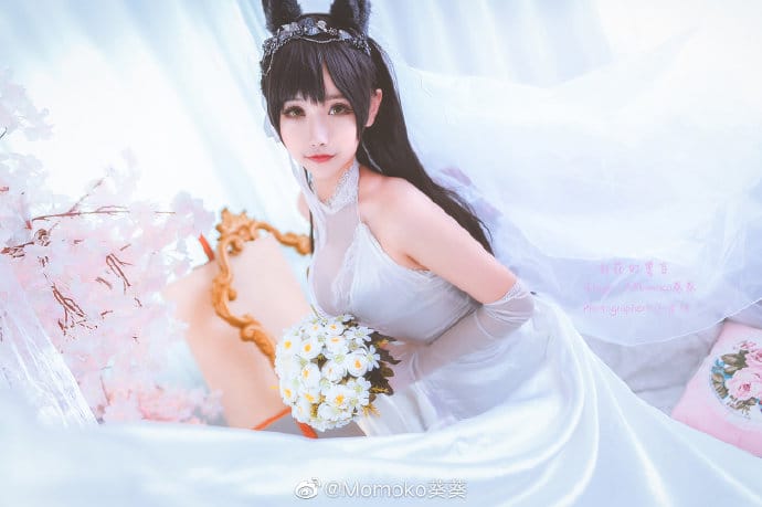 Momoko葵葵COS碧蓝航线爱宕婚纱换装白花的誓言,黑发兽耳配白色婚纱