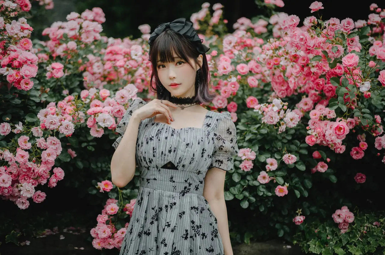 Elyee子Roses_After_the_Rain雨後玫瑰